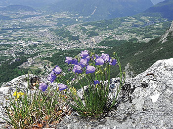 Castel Ivano-Trentino