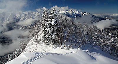  Sochi SUB- TROPICAL OLYMPIC GAMES