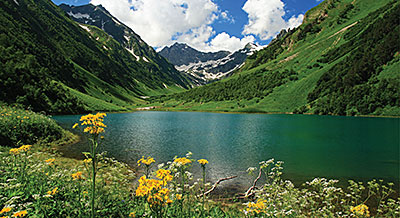  Sochi SUB- TROPICAL OLYMPIC GAMES