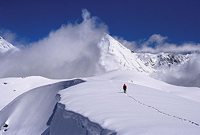  Sochi SUB- TROPICAL OLYMPIC GAMES