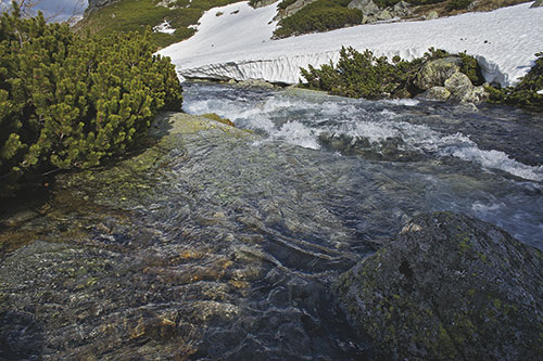 Primavera in montagna image