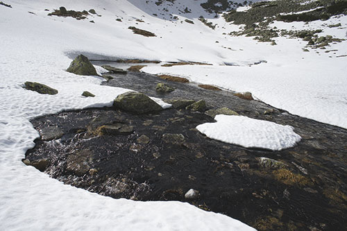 Primavera in montagna image